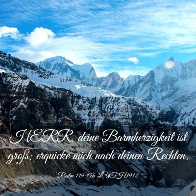 Picture 03 - Psalm 119:156 LUTH1912 - HERR, deine Barmherzigkeit ist groß; erquicke - Bible Verse Picture