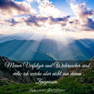 Picture 03 - Psalm 119:157 LUTH1912 - Meiner Verfolger und Widersacher sind viele; ich - Bible Verse Picture