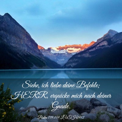 Picture 03 - Psalm 119:159 LUTH1912 - Siehe, ich liebe deine Befehle; HERR, erquicke - Bible Verse Picture