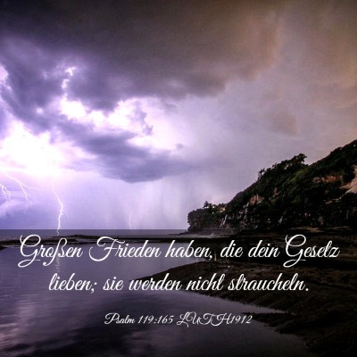 Picture 03 - Psalm 119:165 LUTH1912 - Großen Frieden haben, die dein Gesetz lieben; - Bible Verse Picture