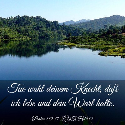 Picture 03 - Psalm 119:17 LUTH1912 - Tue wohl deinem Knecht, daß ich lebe und dein - Bible Verse Picture