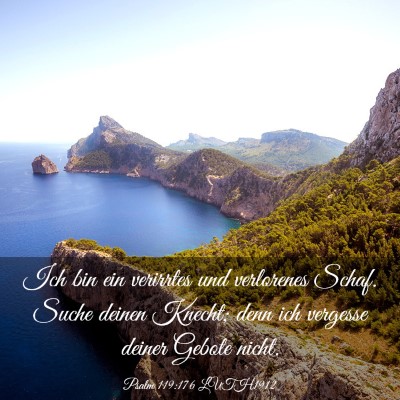 Picture 03 - Psalm 119:176 LUTH1912 - Ich bin ein verirrtes und verlorenes Schaf. Suche - Bible Verse Picture