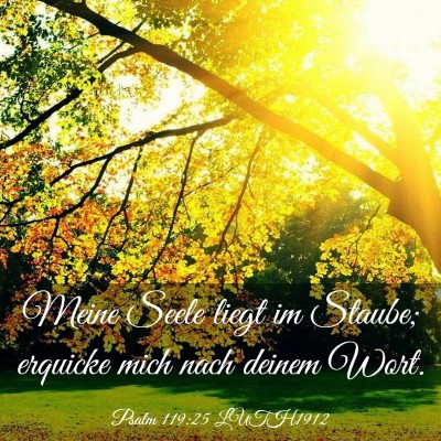 Picture 03 - Psalm 119:25 LUTH1912 - Meine Seele liegt im Staube; erquicke mich nach - Bible Verse Picture