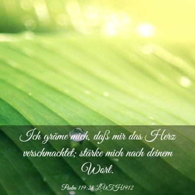 Picture 03 - Psalm 119:28 LUTH1912 - Ich gräme mich, daß mir das Herz verschmachtet; - Bible Verse Picture
