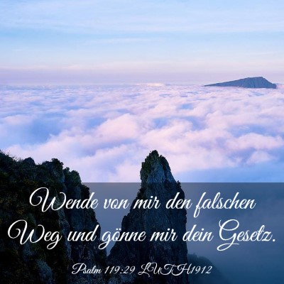 Picture 03 - Psalm 119:29 LUTH1912 - Wende von mir den falschen Weg und gönne mir - Bible Verse Picture