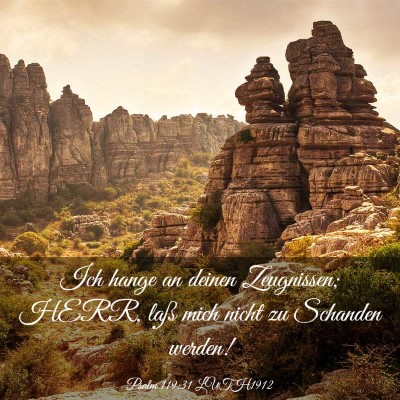 Picture 03 - Psalm 119:31 LUTH1912 - Ich hange an deinen Zeugnissen; HERR, laß mich - Bible Verse Picture