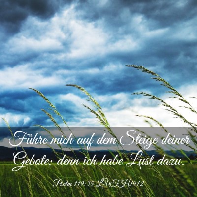 Picture 03 - Psalm 119:35 LUTH1912 - Führe mich auf dem Steige deiner Gebote; denn - Bible Verse Picture