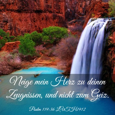 Picture 03 - Psalm 119:36 LUTH1912 - Neige mein Herz zu deinen Zeugnissen, und nicht - Bible Verse Picture