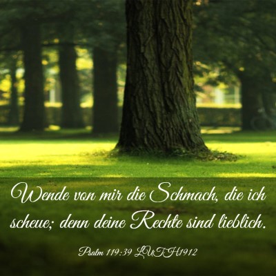 Picture 03 - Psalm 119:39 LUTH1912 - Wende von mir die Schmach, die ich scheue; denn - Bible Verse Picture