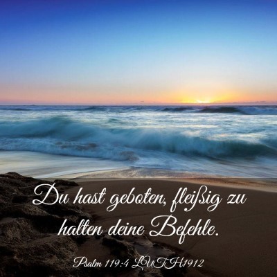 Picture 03 - Psalm 119:4 LUTH1912 - Du hast geboten, fleißig zu halten deine - Bible Verse Picture