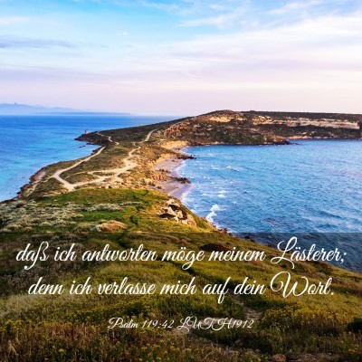 Picture 03 - Psalm 119:42 LUTH1912 - daß ich antworten möge meinem Lästerer; denn - Bible Verse Picture