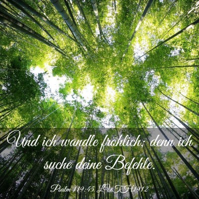 Picture 03 - Psalm 119:45 LUTH1912 - Und ich wandle fröhlich; denn ich suche deine - Bible Verse Picture