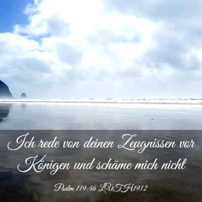 Picture 03 - Psalm 119:46 LUTH1912 - Ich rede von deinen Zeugnissen vor Königen und - Bible Verse Picture