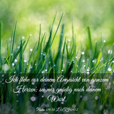 Picture 03 - Psalm 119:58 LUTH1912 - Ich flehe vor deinem Angesicht von ganzem Herzen; - Bible Verse Picture