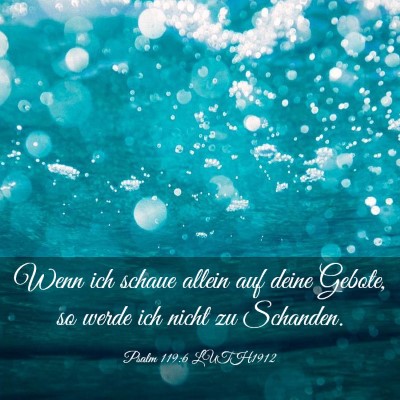 Picture 03 - Psalm 119:6 LUTH1912 - Wenn ich schaue allein auf deine Gebote, so werde - Bible Verse Picture