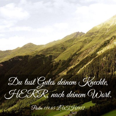 Picture 03 - Psalm 119:65 LUTH1912 - Du tust Gutes deinem Knechte, HERR, nach deinem - Bible Verse Picture