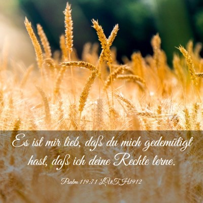 Picture 03 - Psalm 119:71 LUTH1912 - Es ist mir lieb, daß du mich gedemütigt hast, - Bible Verse Picture