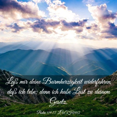 Picture 03 - Psalm 119:77 LUTH1912 - Laß mir deine Barmherzigkeit widerfahren, daß - Bible Verse Picture