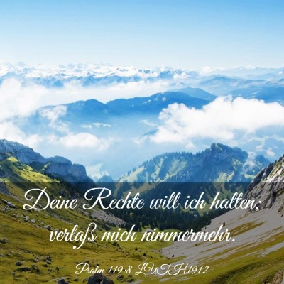 Picture 03 - Psalm 119:8 LUTH1912 - Deine Rechte will ich halten; verlaß mich - Bible Verse Picture