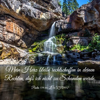 Picture 03 - Psalm 119:80 LUTH1912 - Mein Herz bleibe rechtschaffen in deinen Rechten, - Bible Verse Picture