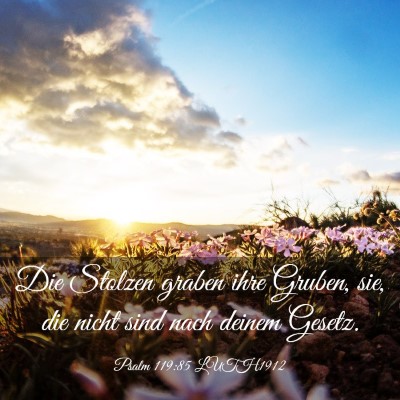Picture 03 - Psalm 119:85 LUTH1912 - Die Stolzen graben ihre Gruben, sie, die nicht - Bible Verse Picture