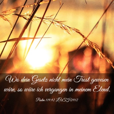Picture 03 - Psalm 119:92 LUTH1912 - Wo dein Gesetz nicht mein Trost gewesen wäre, so - Bible Verse Picture