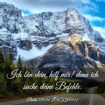 Picture 03 - Psalm 119:94 LUTH1912 - Ich bin dein, hilf mir! denn ich suche deine - Bible Verse Picture