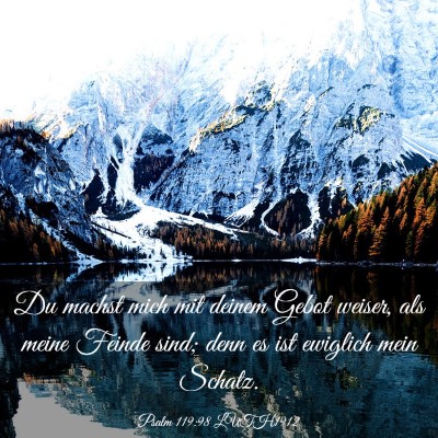 Picture 03 - Psalm 119:98 LUTH1912 - Du machst mich mit deinem Gebot weiser, als meine - Bible Verse Picture