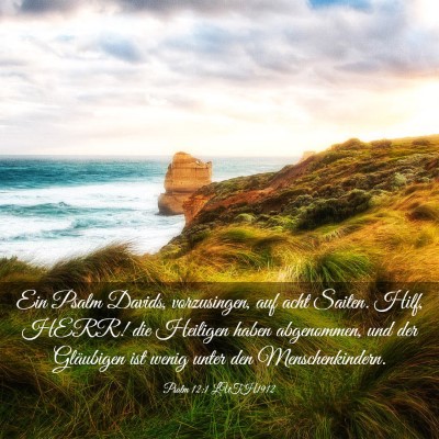 Picture 03 - Psalm 12:1 LUTH1912 - Ein Psalm Davids, vorzusingen, auf acht Saiten. - Bible Verse Picture