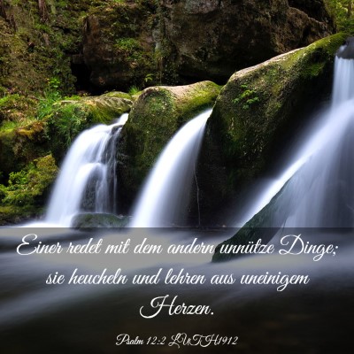Picture 03 - Psalm 12:2 LUTH1912 - Einer redet mit dem andern unnütze Dinge; sie - Bible Verse Picture