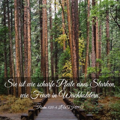 Picture 03 - Psalm 120:4 LUTH1912 - Sie ist wie scharfe Pfeile eines Starken, wie - Bible Verse Picture