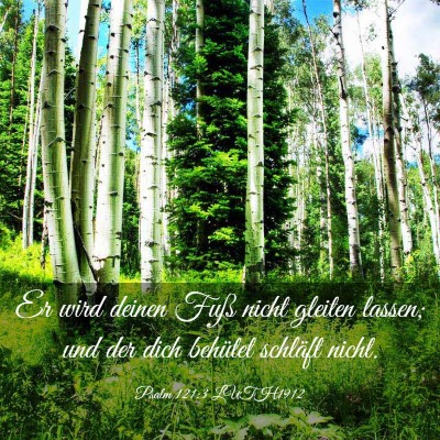 Picture 03 - Psalm 121:3 LUTH1912 - Er wird deinen Fuß nicht gleiten lassen; und der - Bible Verse Picture