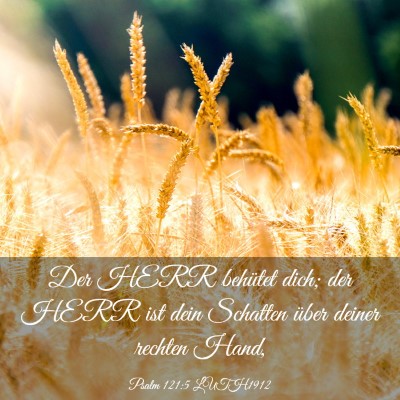 Picture 03 - Psalm 121:5 LUTH1912 - Der HERR behütet dich; der HERR ist dein - Bible Verse Picture