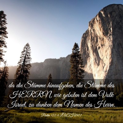 Picture 03 - Psalm 122:4 LUTH1912 - da die Stämme hinaufgehen, die Stämme des - Bible Verse Picture