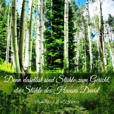 Picture 03 - Psalm 122:5 LUTH1912 - Denn daselbst sind Stühle zum Gericht, die - Bible Verse Picture