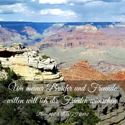Picture 03 - Psalm 122:8 LUTH1912 - Um meiner Brüder und Freunde willen will ich dir - Bible Verse Picture