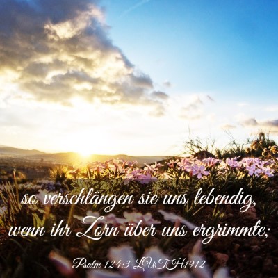 Picture 03 - Psalm 124:3 LUTH1912 - so verschlängen sie uns lebendig, wenn ihr Zorn - Bible Verse Picture