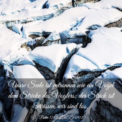Picture 03 - Psalm 124:7 LUTH1912 - Unsre Seele ist entronnen wie ein Vogel dem - Bible Verse Picture