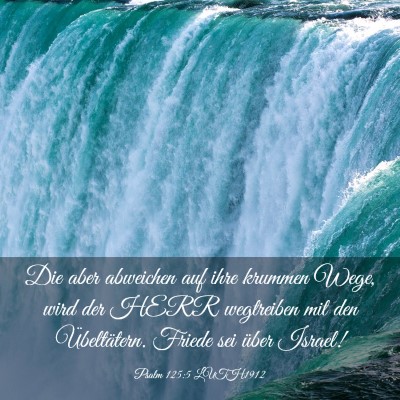 Picture 03 - Psalm 125:5 LUTH1912 - Die aber abweichen auf ihre krummen Wege, wird - Bible Verse Picture