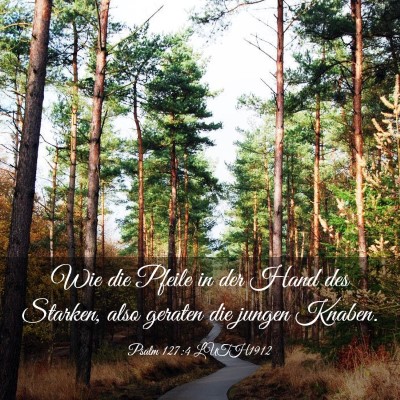 Picture 03 - Psalm 127:4 LUTH1912 - Wie die Pfeile in der Hand des Starken, also - Bible Verse Picture