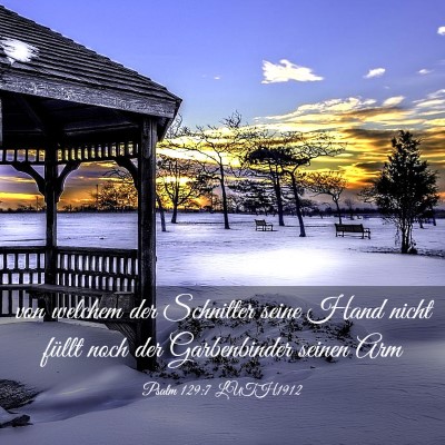 Picture 03 - Psalm 129:7 LUTH1912 - von welchem der Schnitter seine Hand nicht füllt - Bible Verse Picture