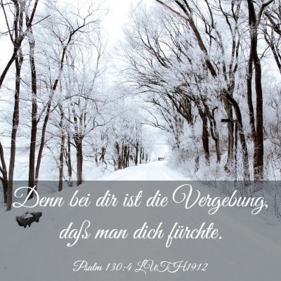 Picture 03 - Psalm 130:4 LUTH1912 - Denn bei dir ist die Vergebung, daß man dich - Bible Verse Picture