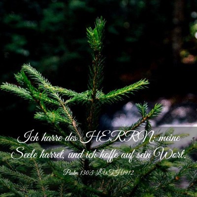 Picture 03 - Psalm 130:5 LUTH1912 - Ich harre des HERRN; meine Seele harret, und ich - Bible Verse Picture