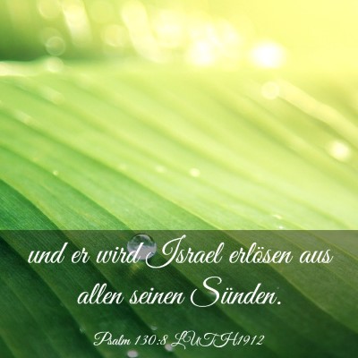 Picture 03 - Psalm 130:8 LUTH1912 - und er wird Israel erlösen aus allen seinen - Bible Verse Picture