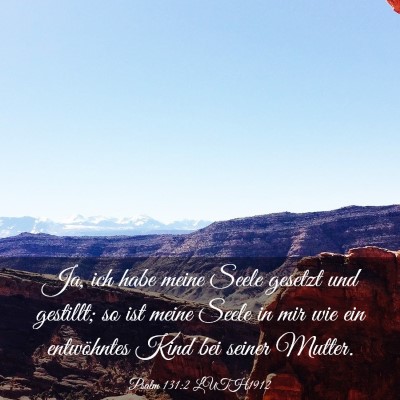 Picture 03 - Psalm 131:2 LUTH1912 - Ja, ich habe meine Seele gesetzt und gestillt; so - Bible Verse Picture