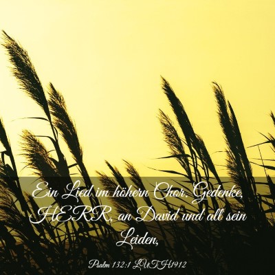 Picture 03 - Psalm 132:1 LUTH1912 - Ein Lied im höhern Chor. Gedenke, HERR, an David - Bible Verse Picture