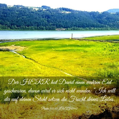 Picture 03 - Psalm 132:11 LUTH1912 - Der HERR hat David einen wahren Eid geschworen, - Bible Verse Picture