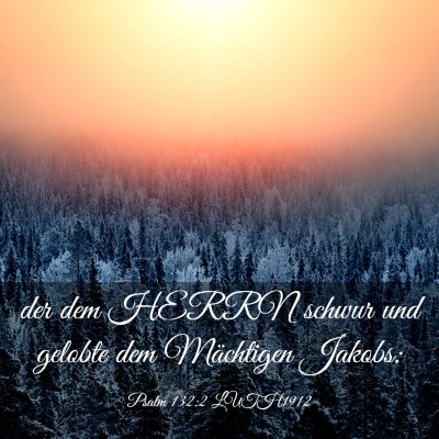 Picture 03 - Psalm 132:2 LUTH1912 - der dem HERRN schwur und gelobte dem Mächtigen - Bible Verse Picture