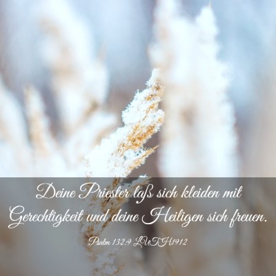 Picture 03 - Psalm 132:9 LUTH1912 - Deine Priester laß sich kleiden mit - Bible Verse Picture