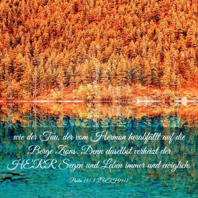 Picture 03 - Psalm 133:3 LUTH1912 - wie der Tau, der vom Hermon herabfällt auf die - Bible Verse Picture